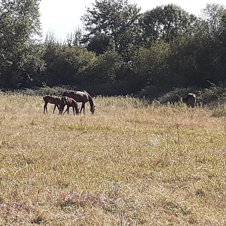 Moult Gite Du Haras 아파트 외부 사진